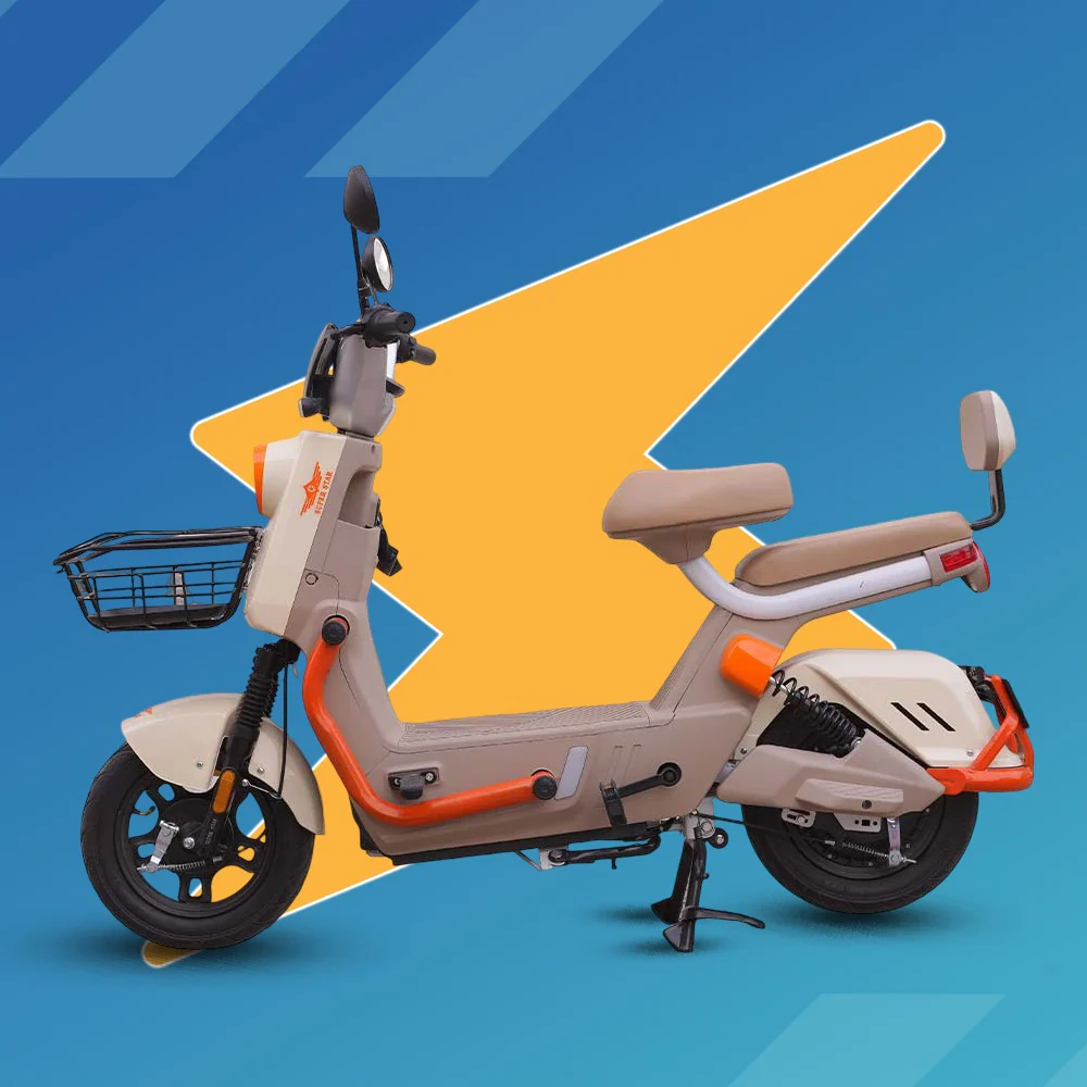 Scooty Pigeon - Image 3