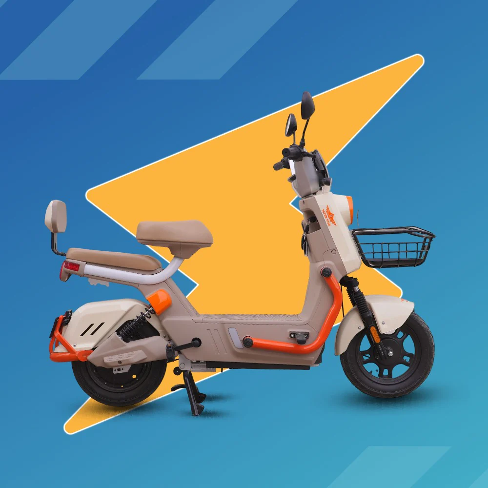 Scooty Pigeon - Image 4