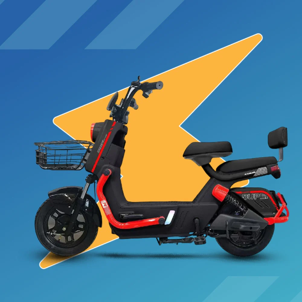 Scooty Pigeon - Image 5