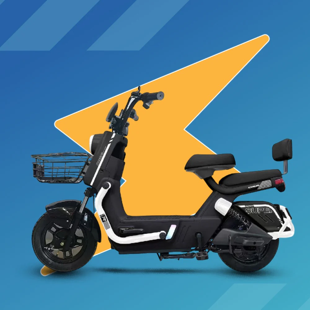 Scooty Pigeon - Image 6