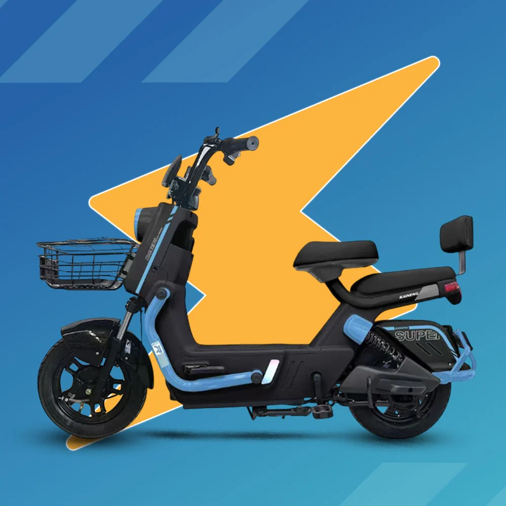 Scooty Pigeon - Image 7